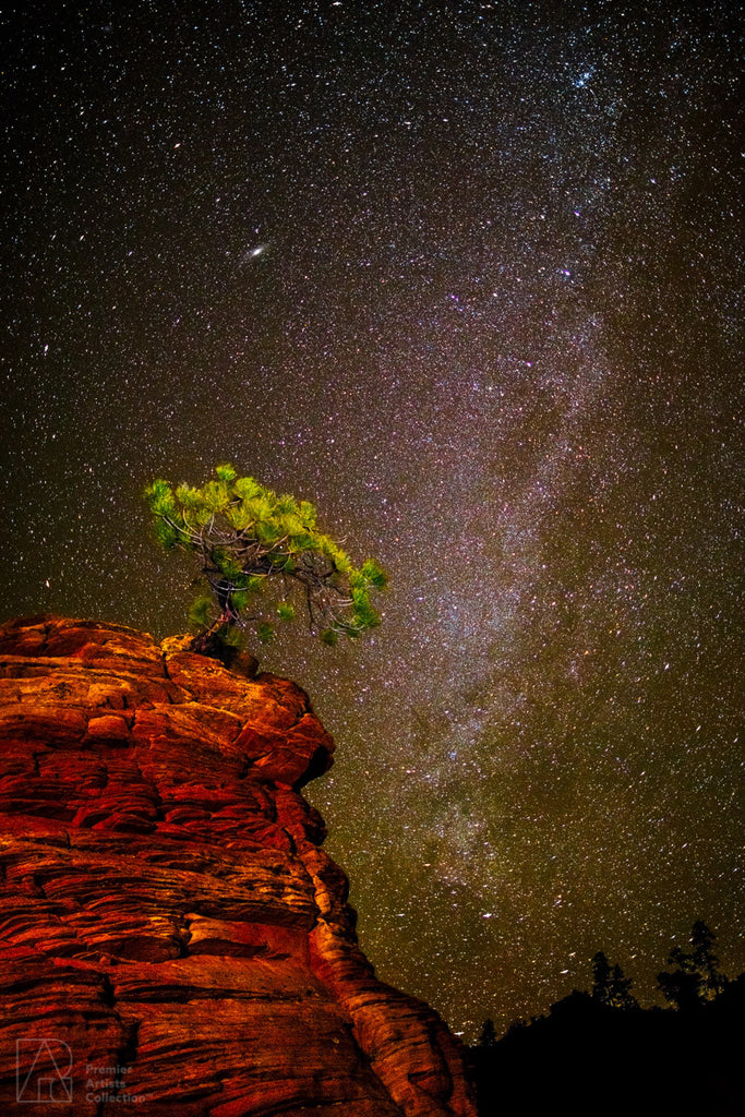 Milky Way in Zion - Alton Vance