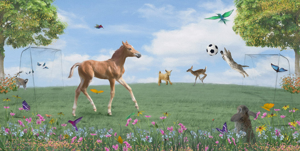 The Soccer Game - Emme Rigby