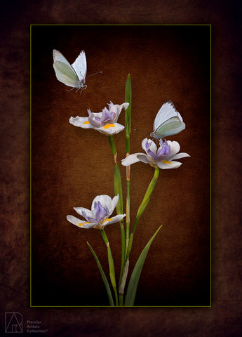 Butterflies and Botanicals - Karen Nakamura