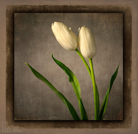 Tulips Caress - Karen Nakamura
