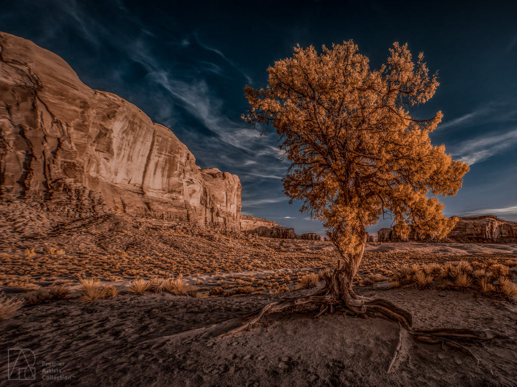 Monument Valley - Peter Levshin